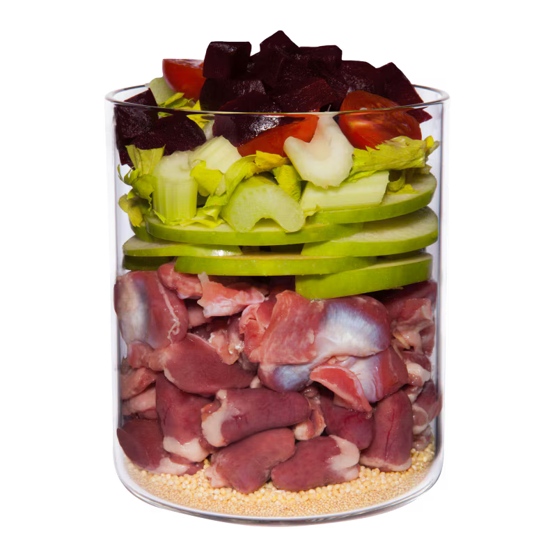 Terra Canis Menü Classic Huhn mit Tomate, Amaranth & Basilikum