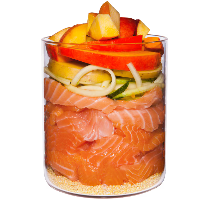 Terra Canis Menü Classic Lachs mit Hirse, Pfirsich & Kräutern