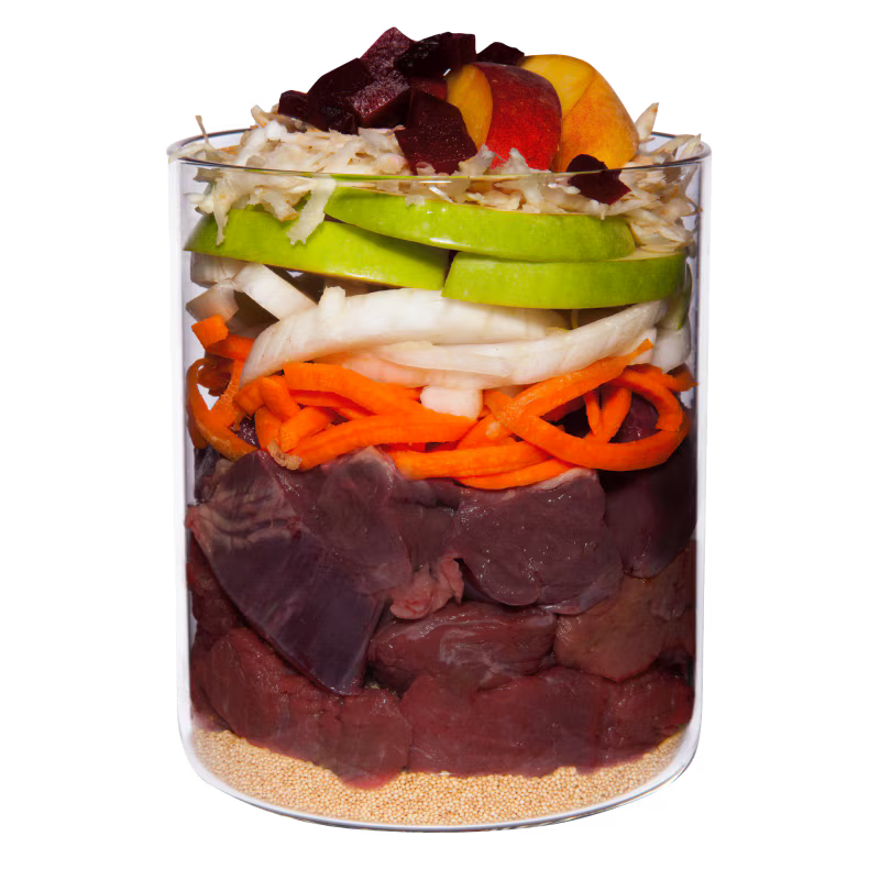 Terra Canis Menü Classic Pferd mit Amaranth, Pfirsich & Roter Beete