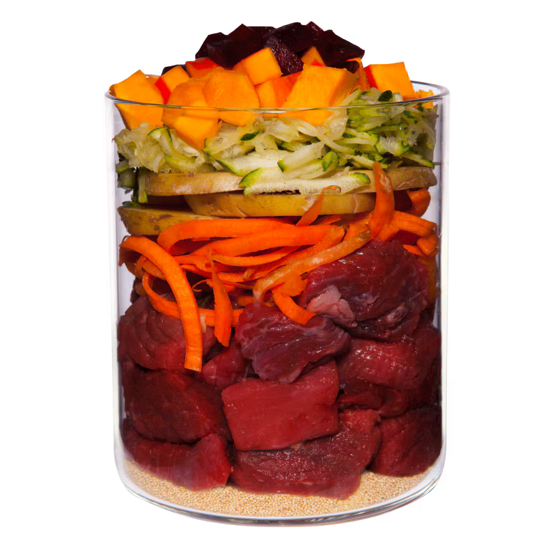 Terra Canis Menü Classic Wild mit Kürbis, Amaranth & Preiselbeeren