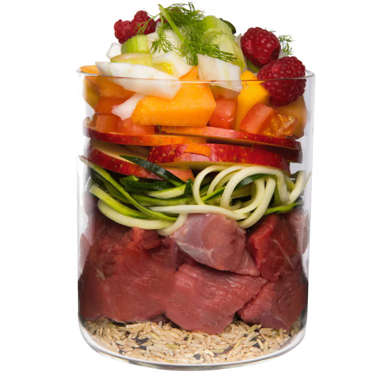 Terra Canis Menü Classic Wildschwein mit Naturreis, Fenchel & Himbeeren