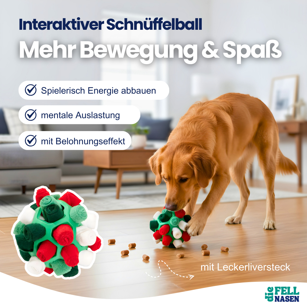 Interaktiver Schnüffelball – Mehr Bewegung & Spaß für deinen Hund