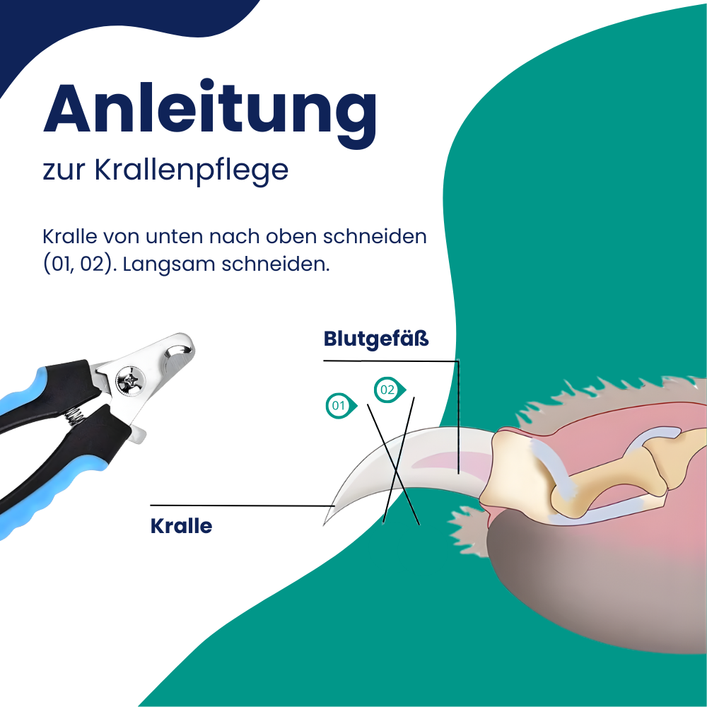 Nagelknipser für Haustiere – Sicheres Kürzen ohne Verletzungsgefahr