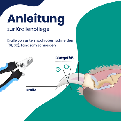 Nagelknipser für Haustiere – Sicheres Kürzen ohne Verletzungsgefahr