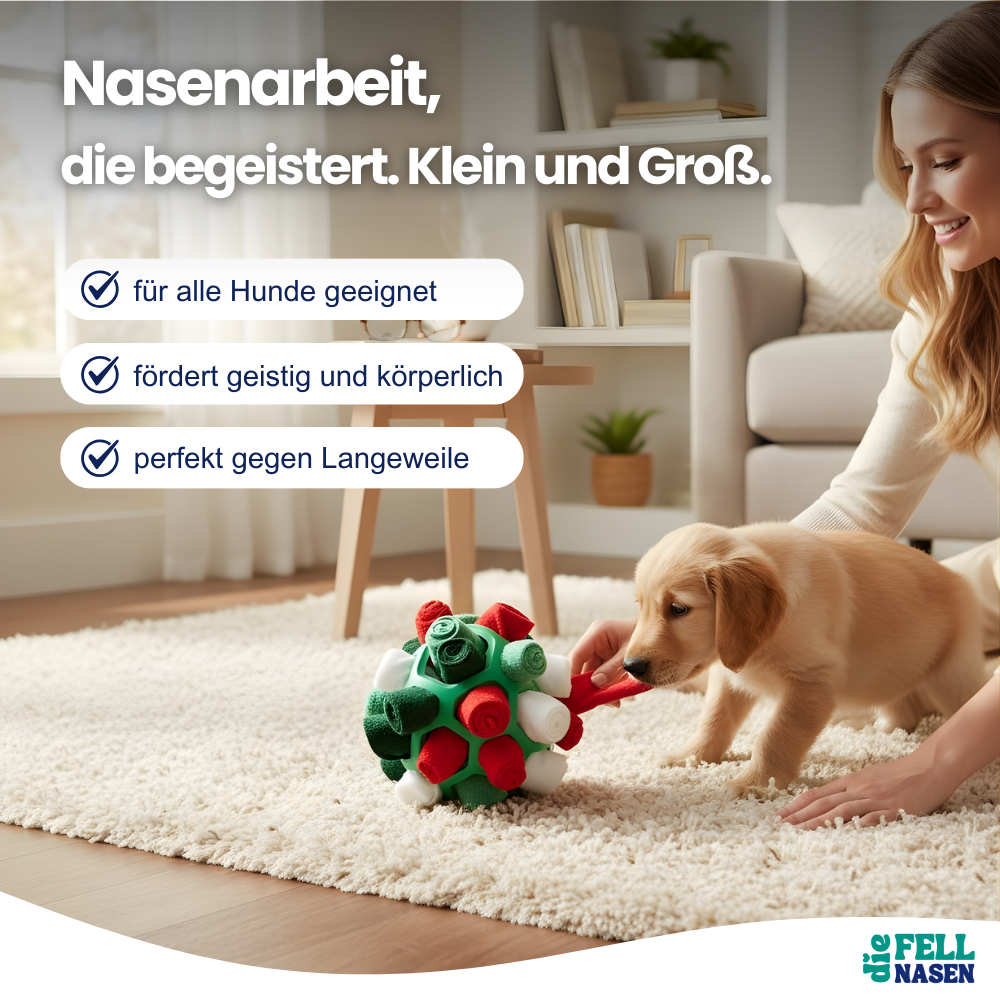 Interaktiver Schnüffelball – Mehr Bewegung & Spaß für deinen Hund