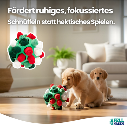 Interaktiver Schnüffelball – Mehr Bewegung & Spaß für deinen Hund
