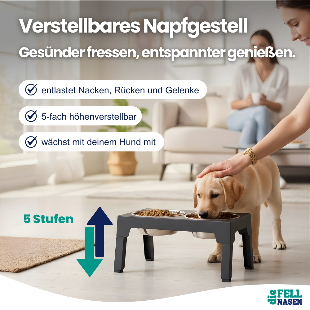 Erhöhter Futternapf für Hunde – Gesunde Haltung und Komfort beim Fressen
