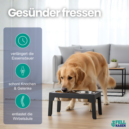 Erhöhter Futternapf für Hunde – Gesunde Haltung und Komfort beim Fressen
