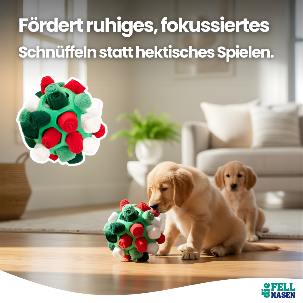 Interaktiver Schnüffelball – Mehr Bewegung & Spaß für deinen Hund