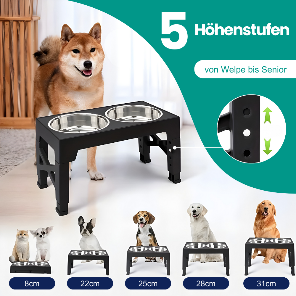 Erhöhter Futternapf für Hunde – Gesunde Haltung und Komfort beim Fressen