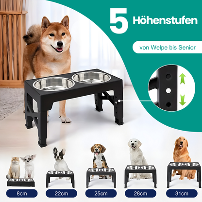 Erhöhter Futternapf für Hunde – Gesunde Haltung und Komfort beim Fressen