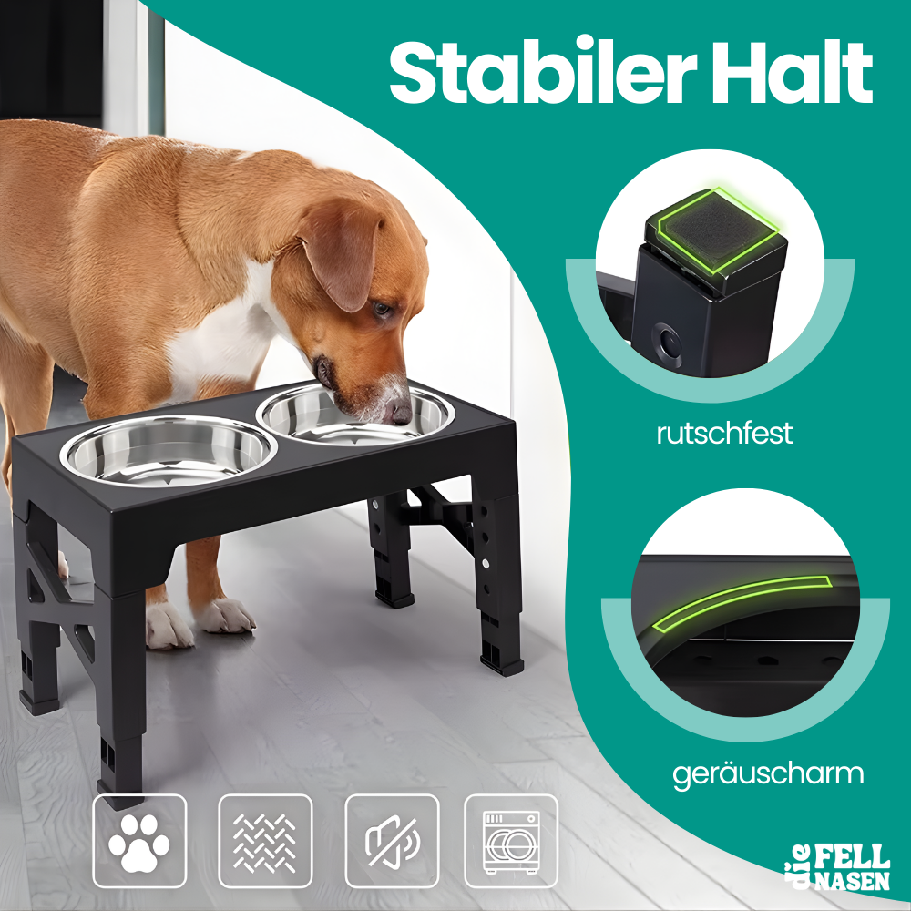 Erhöhter Futternapf für Hunde – Gesunde Haltung und Komfort beim Fressen