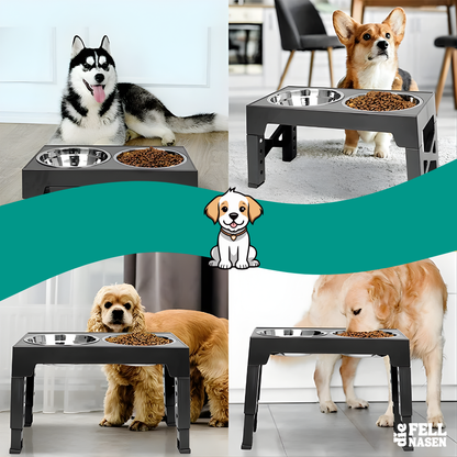 Erhöhter Futternapf für Hunde – Gesunde Haltung und Komfort beim Fressen