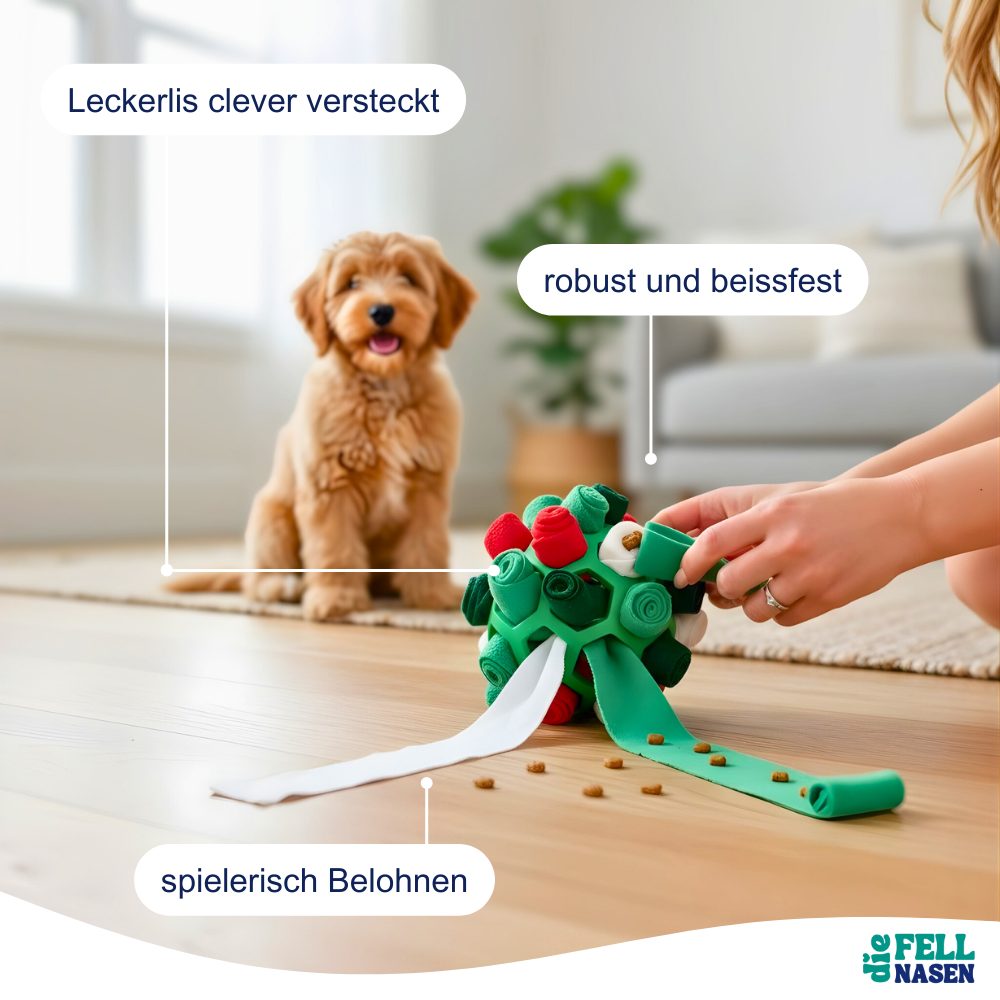 Interaktiver Schnüffelball – Mehr Bewegung & Spaß für deinen Hund