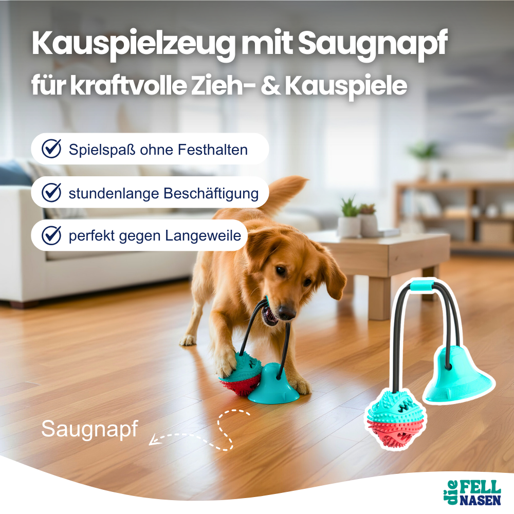 Kauspielzeug mit Saugnapf – Spielspaß & Zahnpflege in einem