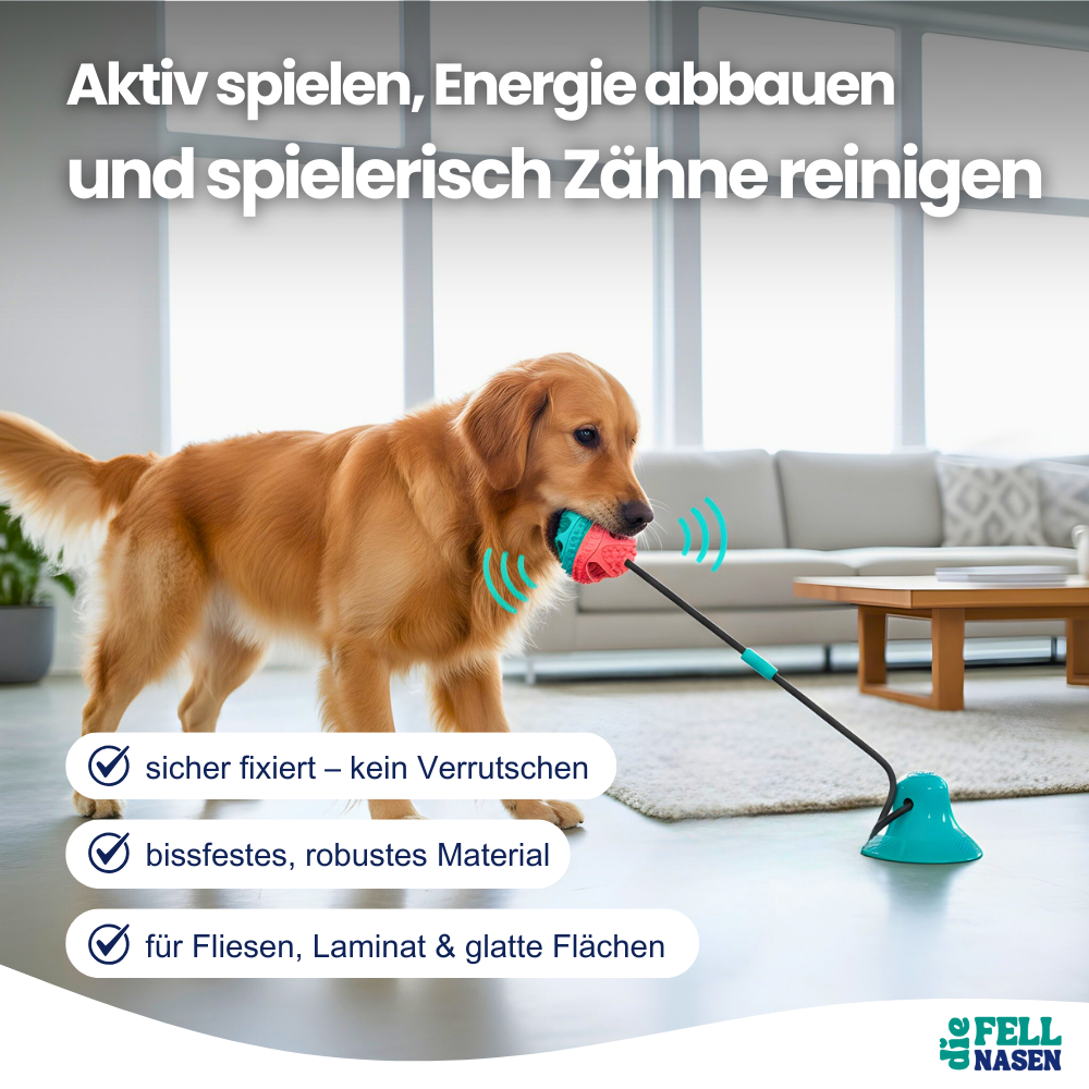 Kauspielzeug mit Saugnapf – Spielspaß & Zahnpflege in einem