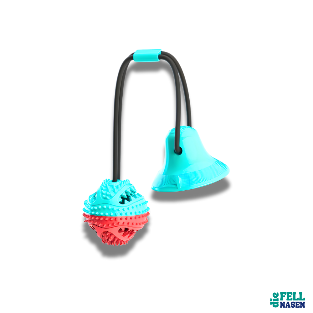 Kauspielzeug mit Saugnapf – Spielspaß & Zahnpflege in einem