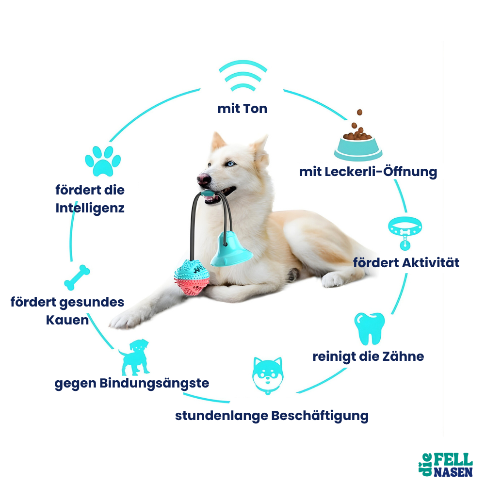 Kauspielzeug mit Saugnapf – Spielspaß & Zahnpflege in einem