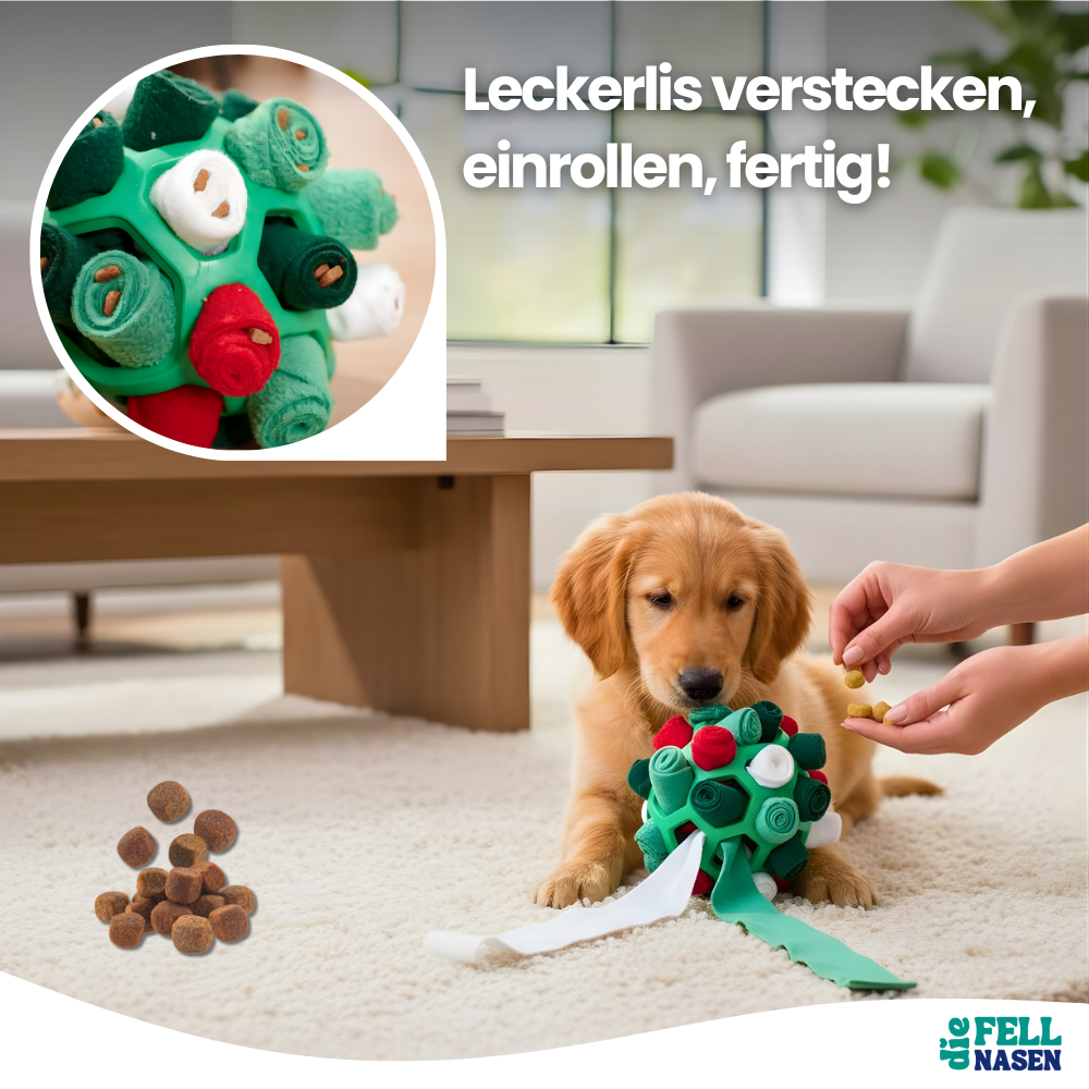 Interaktiver Schnüffelball – Mehr Bewegung & Spaß für deinen Hund