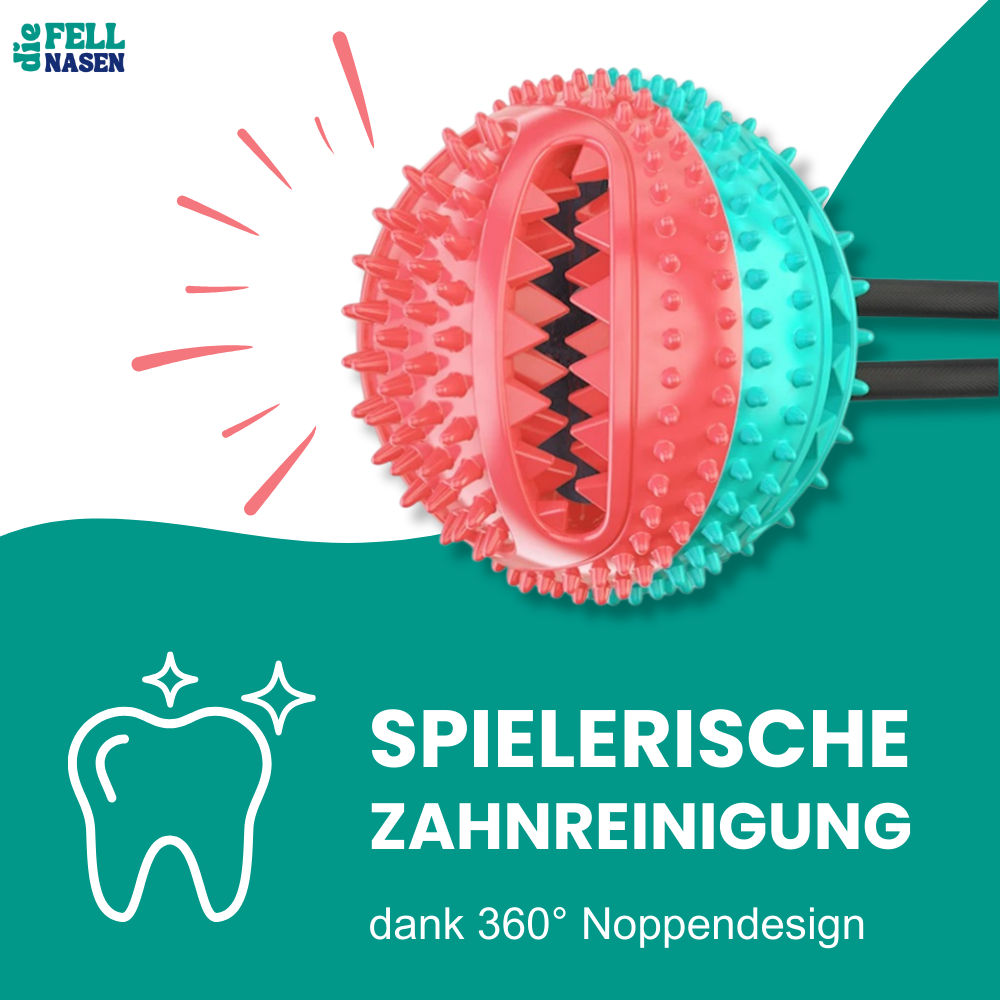 Kauspielzeug mit Saugnapf – Spielspaß & Zahnpflege in einem