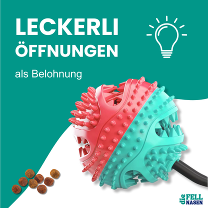 Kauspielzeug mit Saugnapf – Spielspaß & Zahnpflege in einem