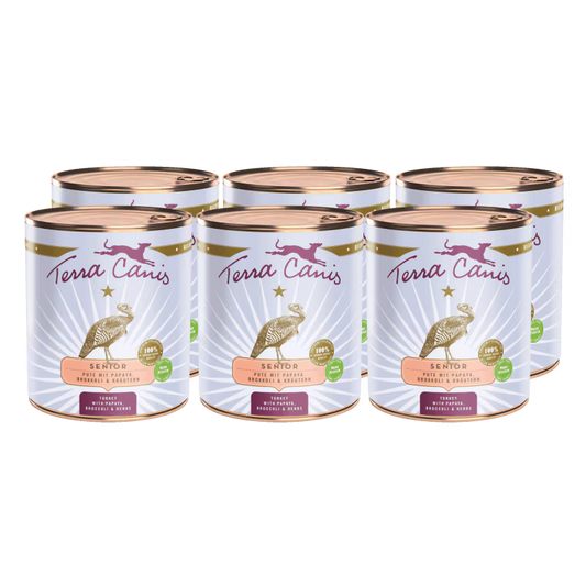 Terra Canis Menü Senior Pute mit Papayas, Borretsch & Kräutern