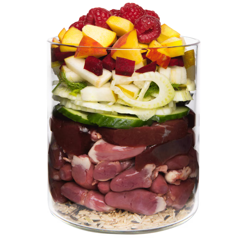 Terra Canis Menü Classic Ente mit Naturreis, Rote Bete, Birne & Sesam