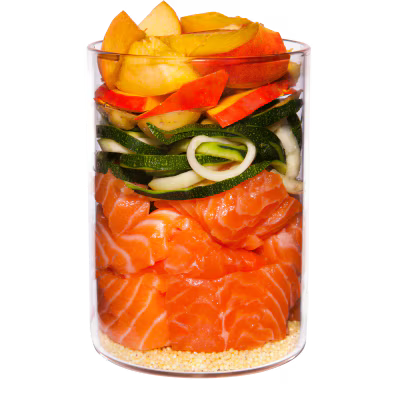 Terra Canis Menü Menü Classoc Lachs mit Hirse, Pfirsich & Kräutern