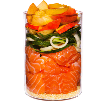 Terra Canis Menü Classic Lachs mit Hirse, Pfirsich & Kräutern
