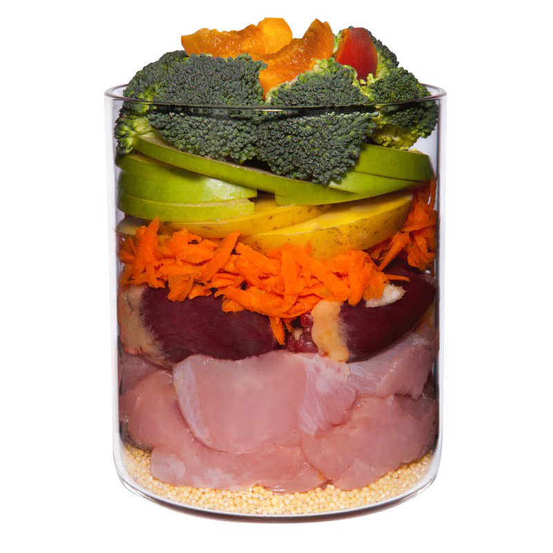 Terra Canis Menü Classic Pute mit Brokkoli, Birne & Kartoffeln