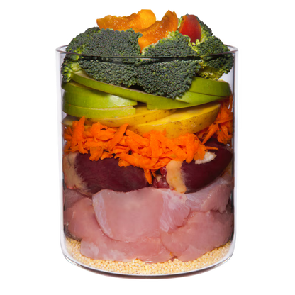 Terra Canis Menü Classic Pute mit Brokkoli, Birne & Kartoffeln