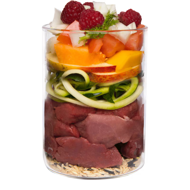 Terra Canis Menü Classic Wildschwein mit Naturreis, Fenchel & Himbeeren