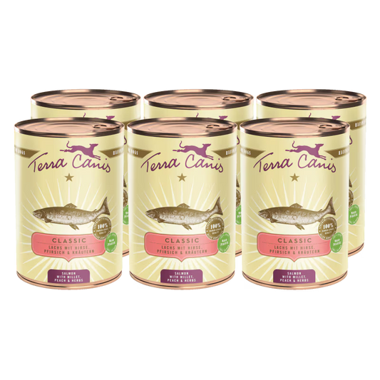 Terra Canis Menü Classic Lachs mit Hirse, Pfirsich & Kräutern