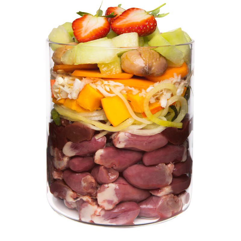 Terra Canis Menü  -Getreidefrei- Ente mit Kürbis, Erdbeeren und Holunder