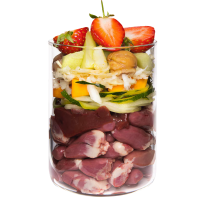 Terra Canis Menü  -Getreidefrei- Ente mit Kürbis, Erdbeeren und Holunder